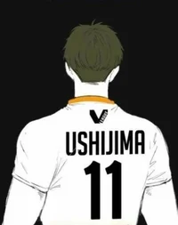 Ushijima Wakatoshi