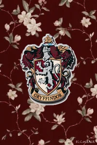 Gryffindor GC