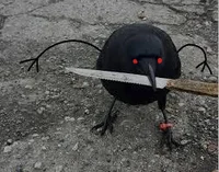Bob