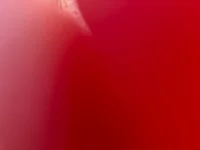 Greed_Hate_Lust_Fear