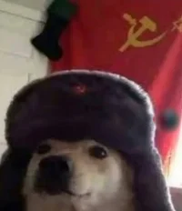 Soviet dog