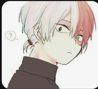 Classmate-todoroki