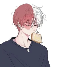 Shoto todoroki 