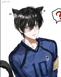 Rin your cat