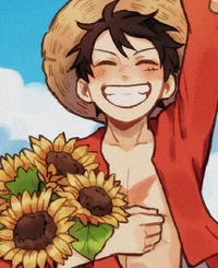 Luffy - Picnic -