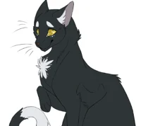 Ravenpaw