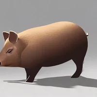 Infection piggy