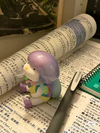 Studying together