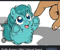 Fluffy ponys