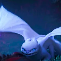 Wild light fury