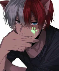 Todoroki - Cat