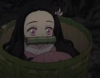 Kamaboko squad rmate