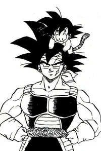 Bardock 