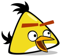 Chuck