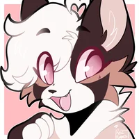 Onyx The Persian Cat