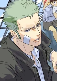 Highschool Zoro