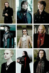 THE VOLTURI