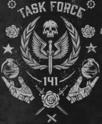 Task force 141