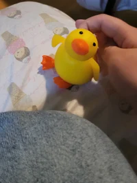 Grape the Duck