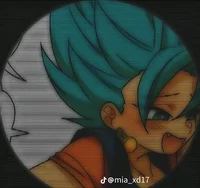 Vegito falmade