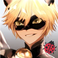 Cat Noir