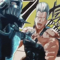 Polnareff 