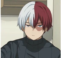 Shoto Todoroki 