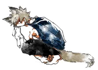 Bakugou katsuki 