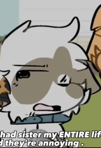 Miracle budsforbuddi