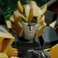 TFE Bumblebee