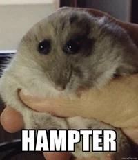 Hampter