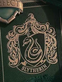 Slytherin boys