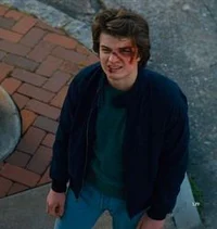 steve harrington 