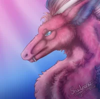 Star the Dragon