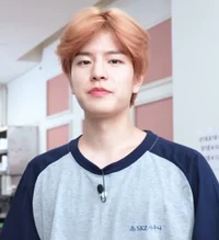 Seungmin 
