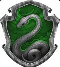 Slytherin boys 
