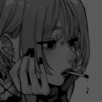 Nova- Bi