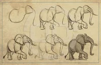 Lev Haiba ELEPHANT_M