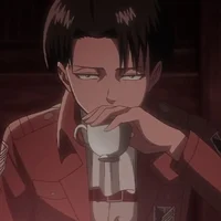Levi