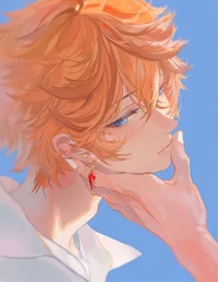 Fox-Hybrid Tartaglia