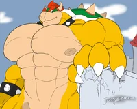 Marcro bowser
