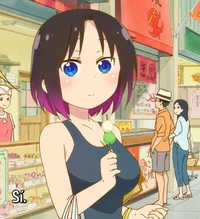 Elma transform 