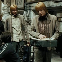 HP Gemelos Weasley 