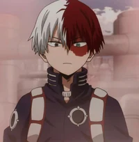 Shoto todoroki