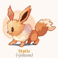 Baby jolteon
