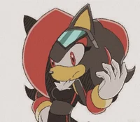 Shadina The Hedgehog