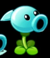 Aqua pea