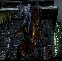 Praetorian Xenomorph