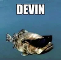 Devin