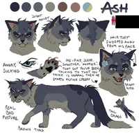 -ASHFUR- 